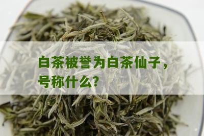 白茶被誉为白茶仙子，号称什么？