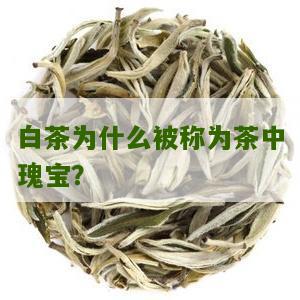 白茶为什么被称为茶中瑰宝？