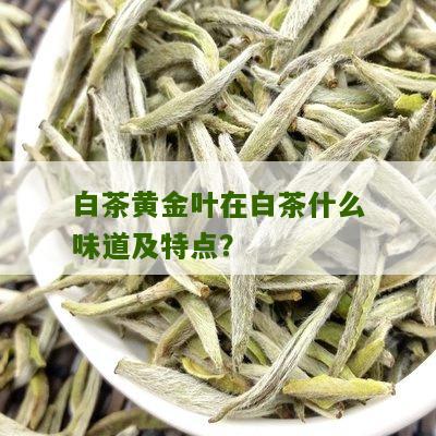 白茶黄金叶在白茶什么味道及特点？