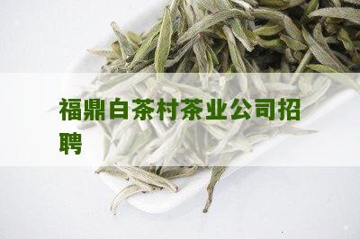 福鼎白茶村茶业公司招聘