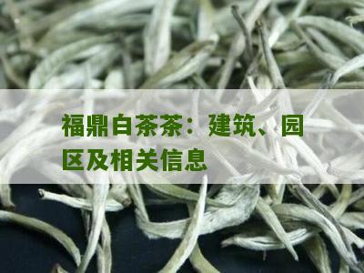 福鼎白茶茶：建筑、园区及相关信息