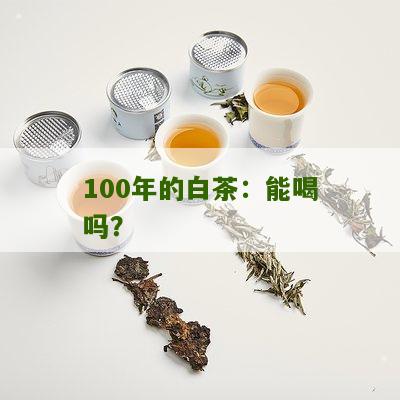 100年的白茶：能喝吗？