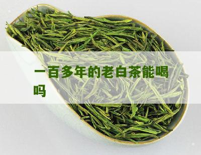 一百多年的老白茶能喝吗