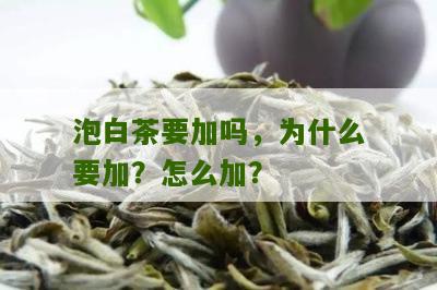 泡白茶要加吗，为什么要加？怎么加？