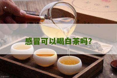 感冒可以喝白茶吗？