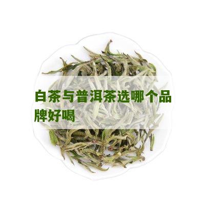 白茶与普洱茶选哪个品牌好喝