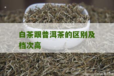 白茶跟普洱茶的区别及档次高