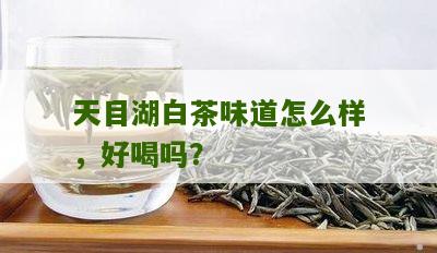 天目湖白茶味道怎么样，好喝吗？