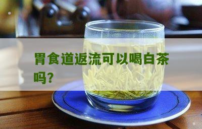 胃食道返流可以喝白茶吗？