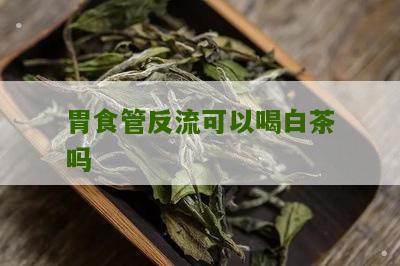 胃食管反流可以喝白茶吗