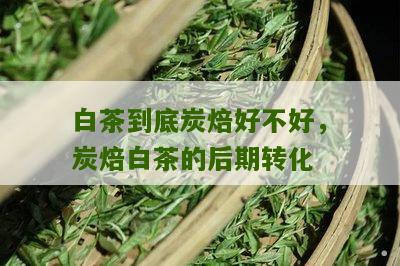 白茶到底炭焙好不好，炭焙白茶的后期转化