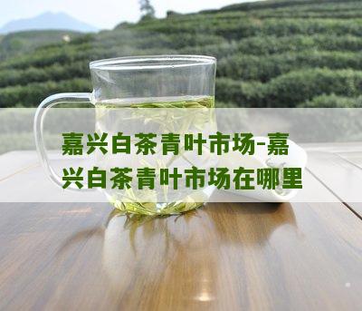 嘉兴白茶青叶市场-嘉兴白茶青叶市场在哪里