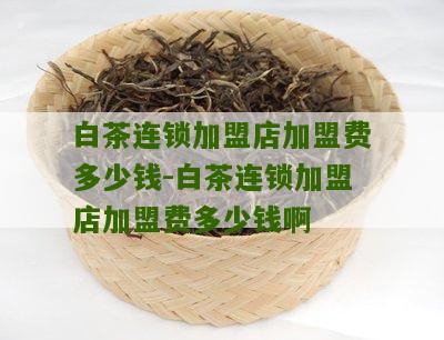 白茶连锁加盟店加盟费多少钱-白茶连锁加盟店加盟费多少钱啊