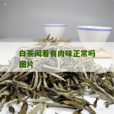 白茶闻着有肉味正常吗图片