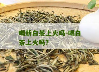 喝新白茶上火吗-喝白茶上火吗?