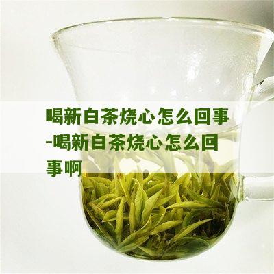 喝新白茶烧心怎么回事-喝新白茶烧心怎么回事啊