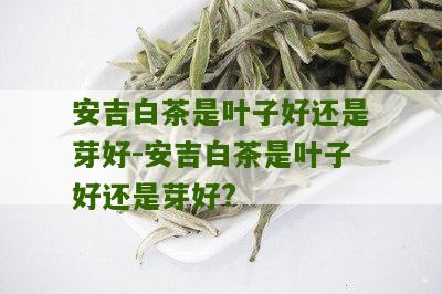 安吉白茶是叶子好还是芽好-安吉白茶是叶子好还是芽好?