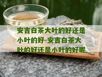 安吉白茶大叶的好还是小叶的好-安吉白茶大叶的好还是小叶的好呢