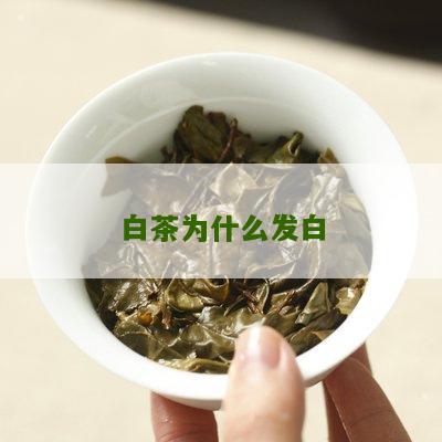 白茶为什么发白