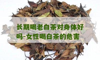 长期喝老白茶对身体好吗-女性喝白茶的危害