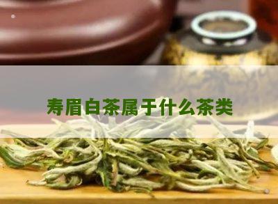 寿眉白茶属于什么茶类