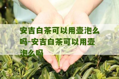 安吉白茶可以用壶泡么吗-安吉白茶可以用壶泡么吗