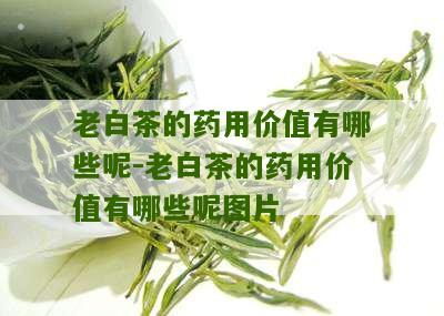 老白茶的药用价值有哪些呢-老白茶的药用价值有哪些呢图片