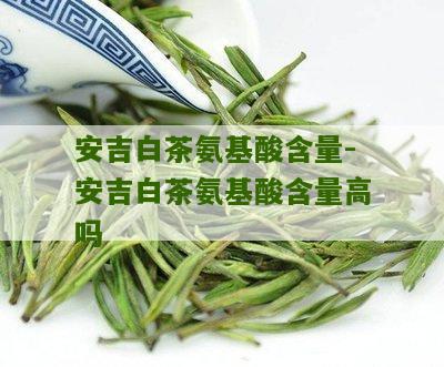 安吉白茶氨基酸含量-安吉白茶氨基酸含量高吗