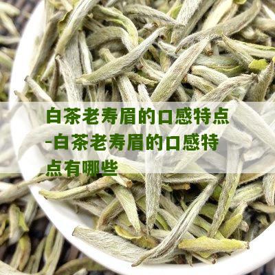 白茶老寿眉的口感特点-白茶老寿眉的口感特点有哪些