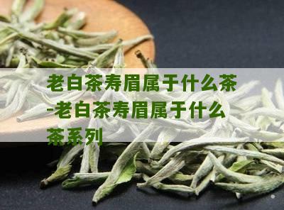 老白茶寿眉属于什么茶-老白茶寿眉属于什么茶系列