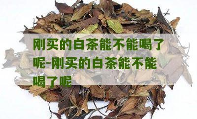 刚买的白茶能不能喝了呢-刚买的白茶能不能喝了呢