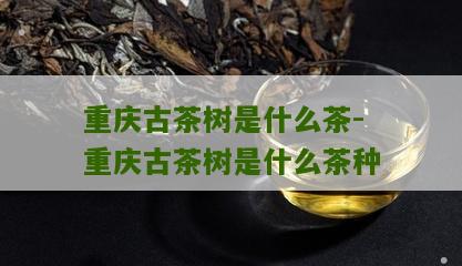 重庆古茶树是什么茶-重庆古茶树是什么茶种