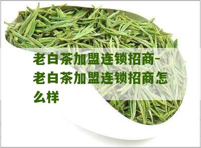 老白茶加盟连锁招商-老白茶加盟连锁招商怎么样