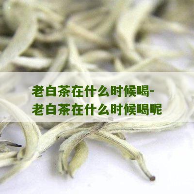 老白茶在什么时候喝-老白茶在什么时候喝呢