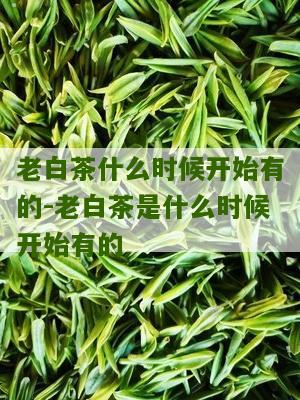 老白茶什么时候开始有的-老白茶是什么时候开始有的