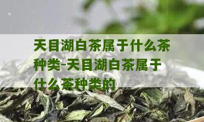 天目湖白茶属于什么茶种类-天目湖白茶属于什么茶种类的