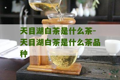 天目湖白茶是什么茶-天目湖白茶是什么茶品种