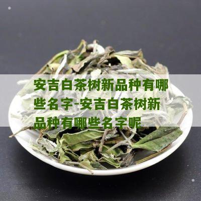 安吉白茶树新品种有哪些名字-安吉白茶树新品种有哪些名字呢