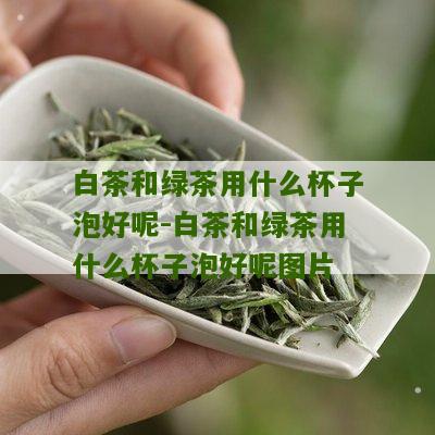 白茶和绿茶用什么杯子泡好呢-白茶和绿茶用什么杯子泡好呢图片