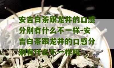 安吉白茶跟龙井的口感分别有什么不一样-安吉白茶跟龙井的口感分别有什么不一样吗