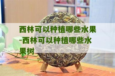 西林可以种植哪些水果-西林可以种植哪些水果树