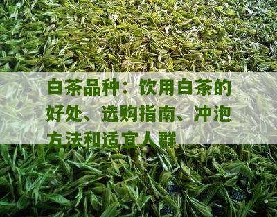 白茶品种：饮用白茶的好处、选购指南、冲泡方法和适宜人群