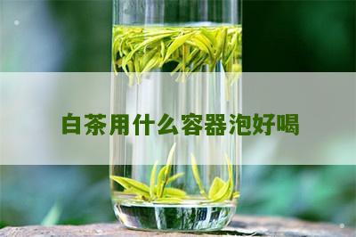 白茶用什么容器泡好喝