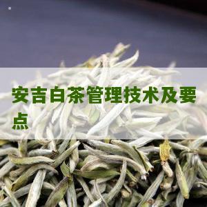 安吉白茶管理技术及要点