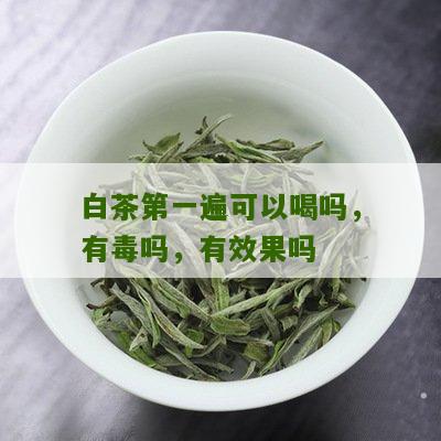 白茶第一遍可以喝吗，有毒吗，有效果吗