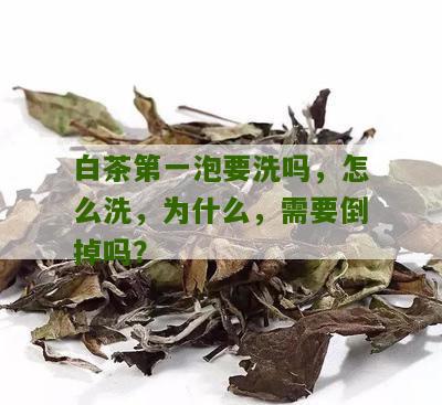 白茶第一泡要洗吗，怎么洗，为什么，需要倒掉吗？