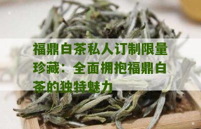 福鼎白茶私人订制限量珍藏：全面拥抱福鼎白茶的独特魅力