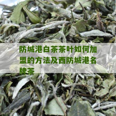 防城港白茶茶叶如何加盟的方法及西防城港名牌茶