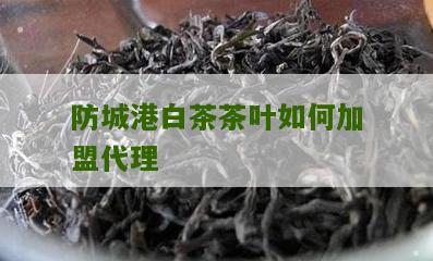 防城港白茶茶叶如何加盟代理