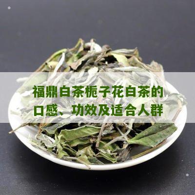 福鼎白茶栀子花白茶的口感、功效及适合人群